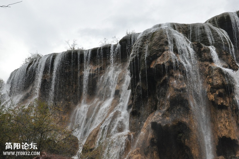 DSC_0250.jpg