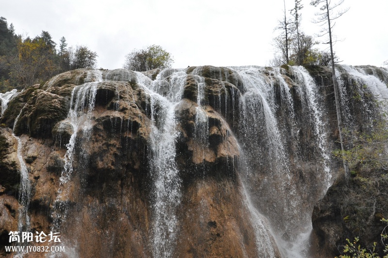 DSC_0263.jpg