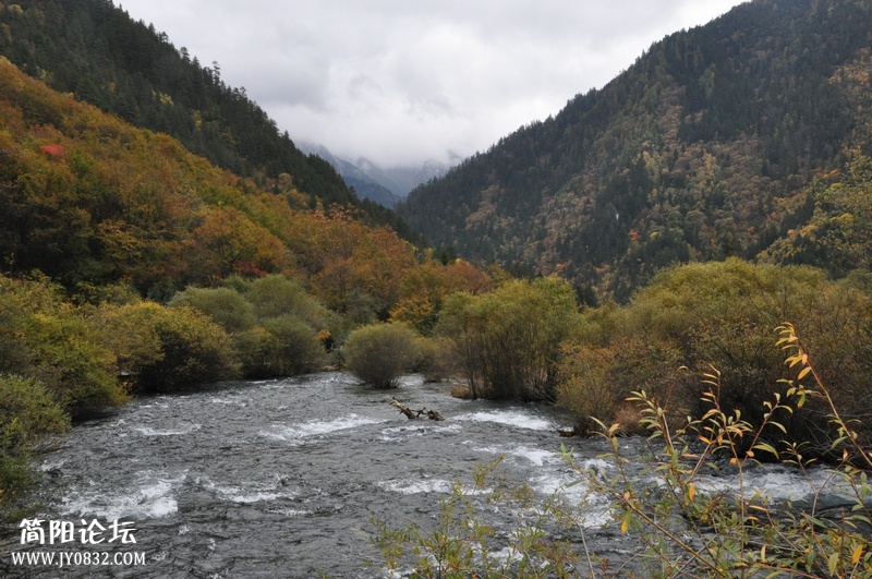 DSC_0270.jpg