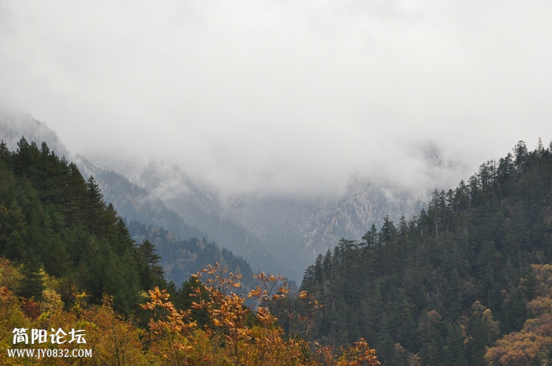 DSC_0274.jpg