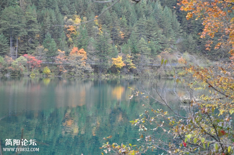 DSC_0279.jpg