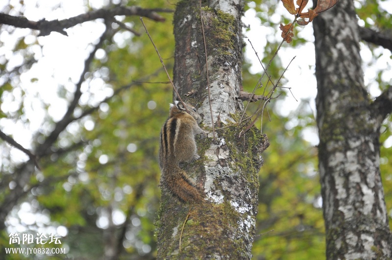 DSC_0317.jpg