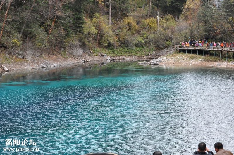 DSC_0350.jpg