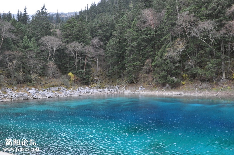 DSC_0359.jpg