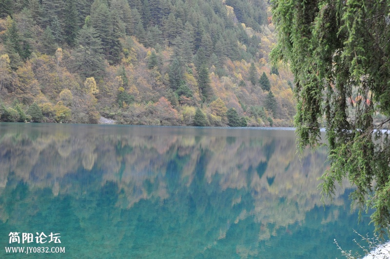 DSC_0367.jpg
