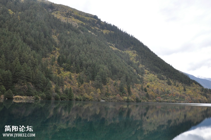 DSC_0371.jpg