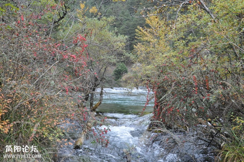 DSC_0384.jpg