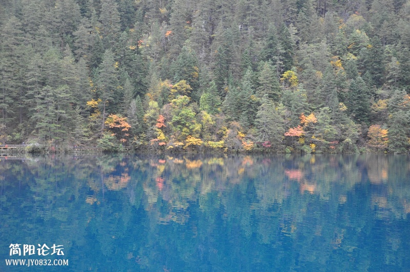 DSC_0404.jpg