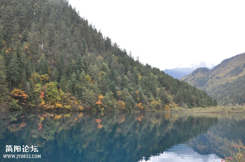 DSC_0406.jpg