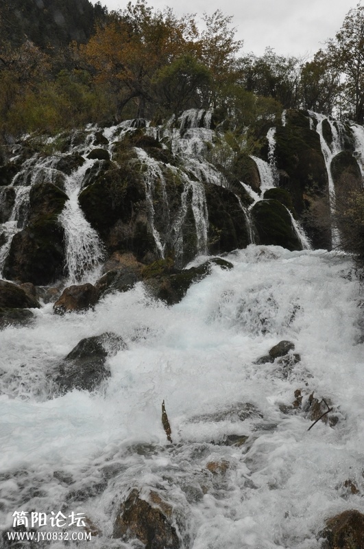 DSC_0419.jpg