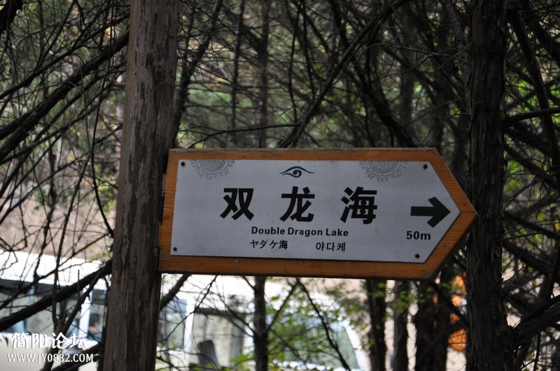 DSC_0474.jpg