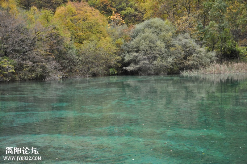 DSC_0481.jpg