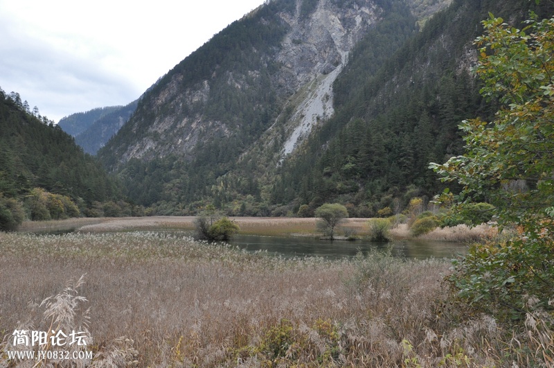 DSC_0497.jpg