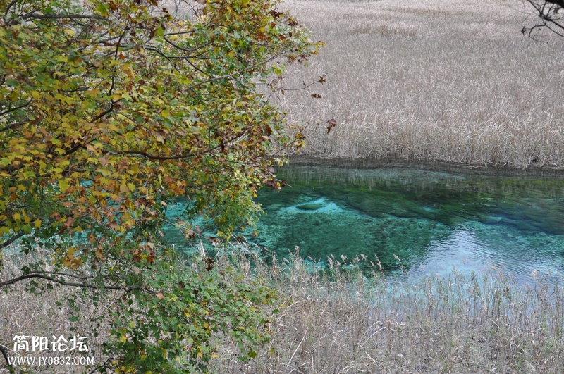 DSC_0512.jpg
