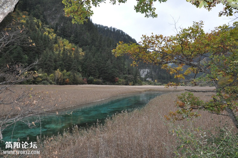 DSC_0519.jpg