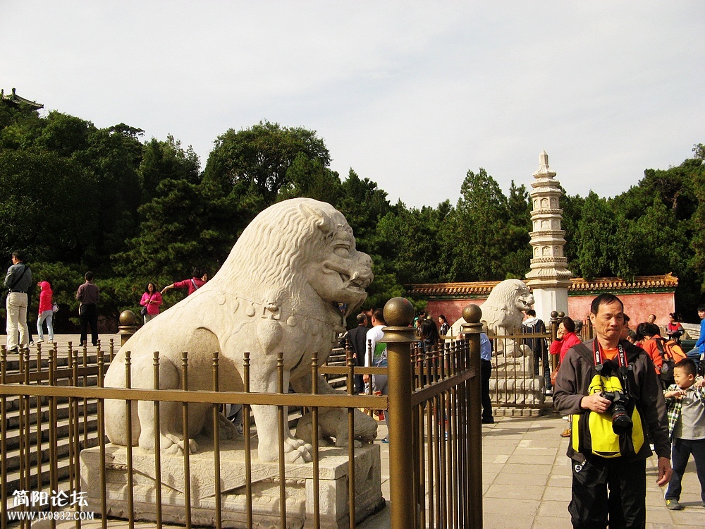 IMG_6667.jpg