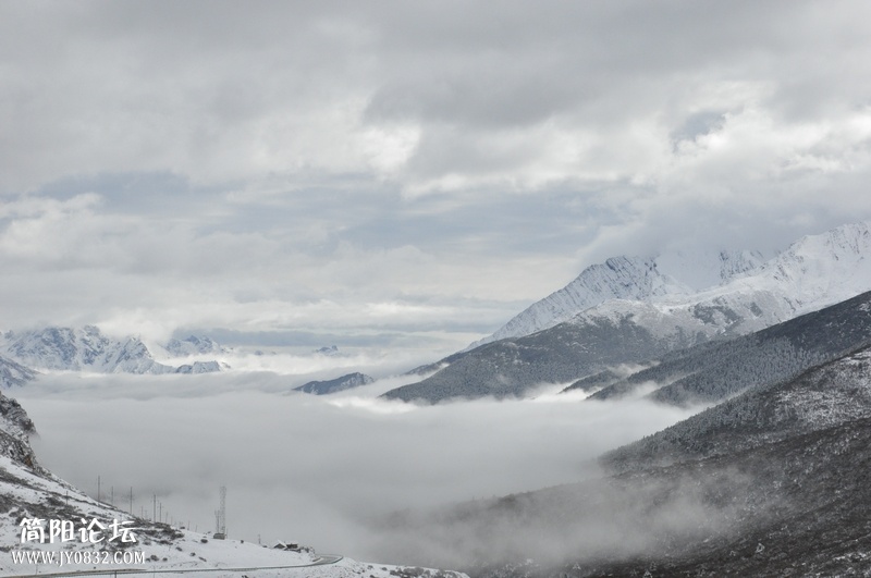 DSC_0611.jpg