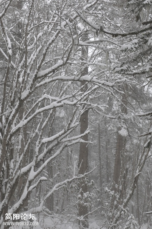 DSC_0627.jpg