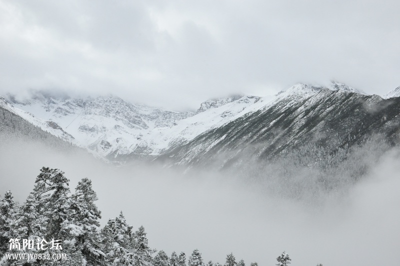 DSC_0633.jpg
