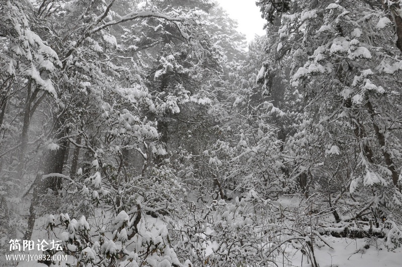 DSC_0642.jpg
