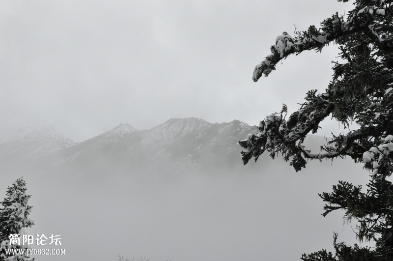DSC_0658.jpg