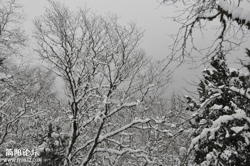 DSC_0662.jpg