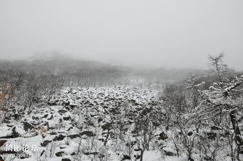 DSC_0672.jpg
