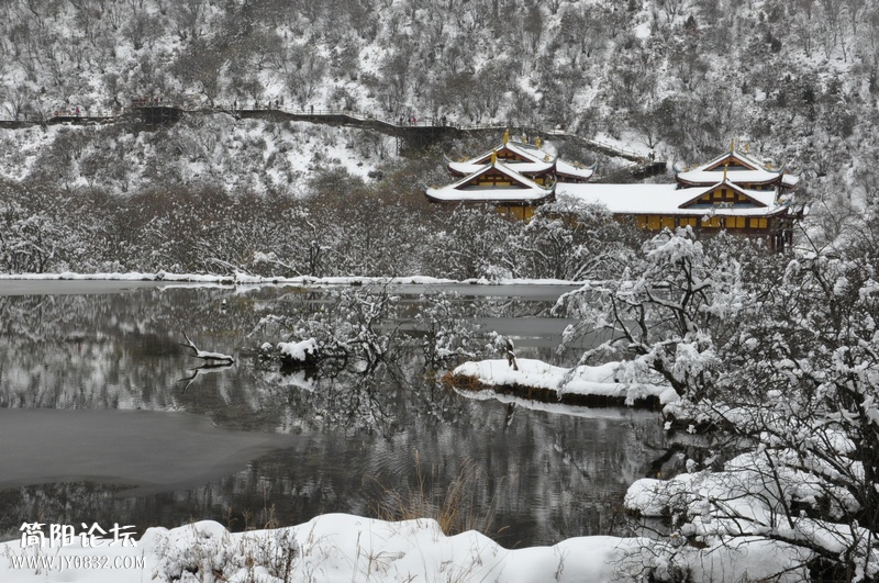 DSC_0687.jpg