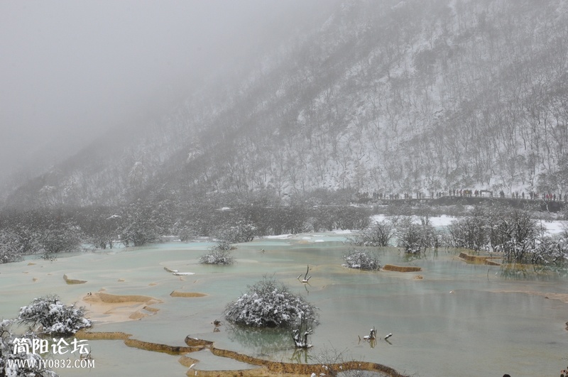 DSC_0741.jpg