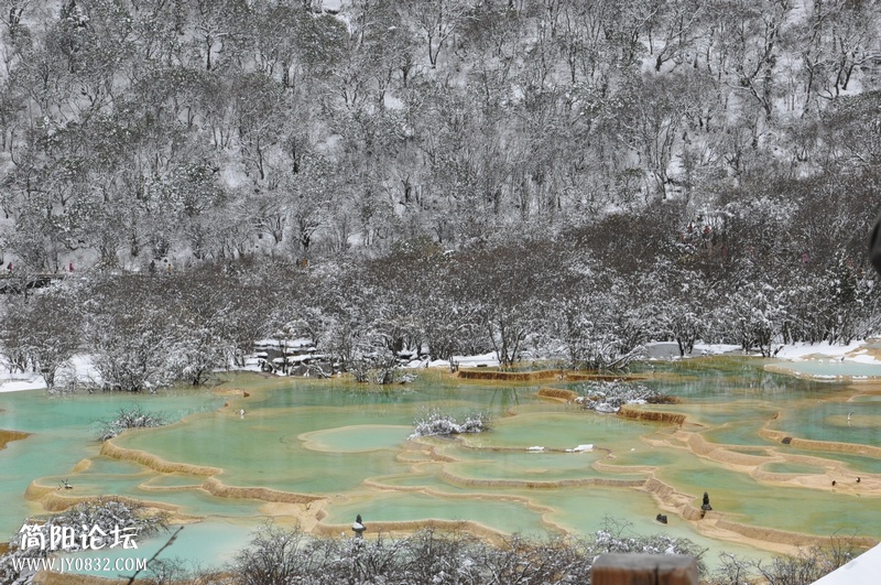 DSC_0766.jpg