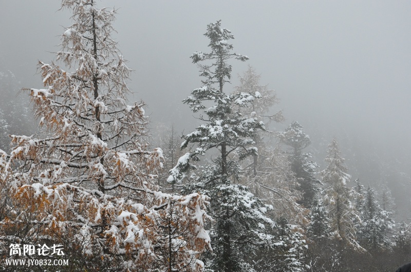 DSC_0800.jpg