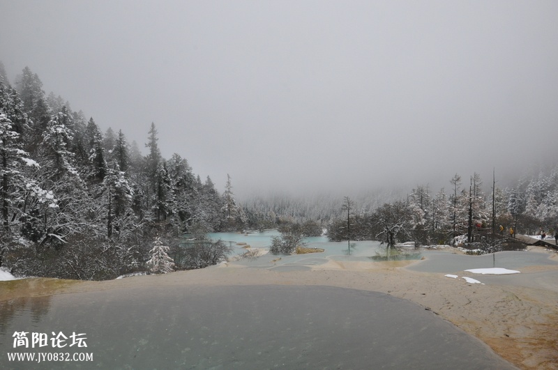 DSC_0804.jpg