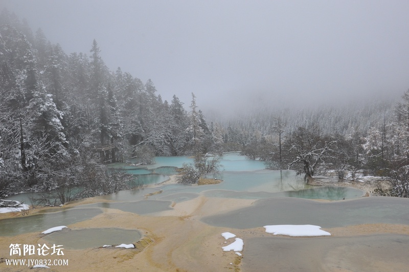 DSC_0807.jpg