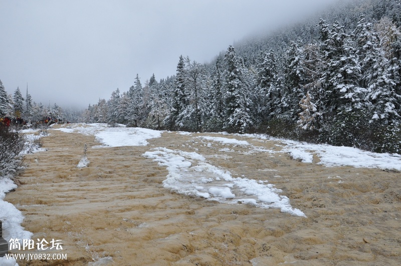 DSC_0853.jpg