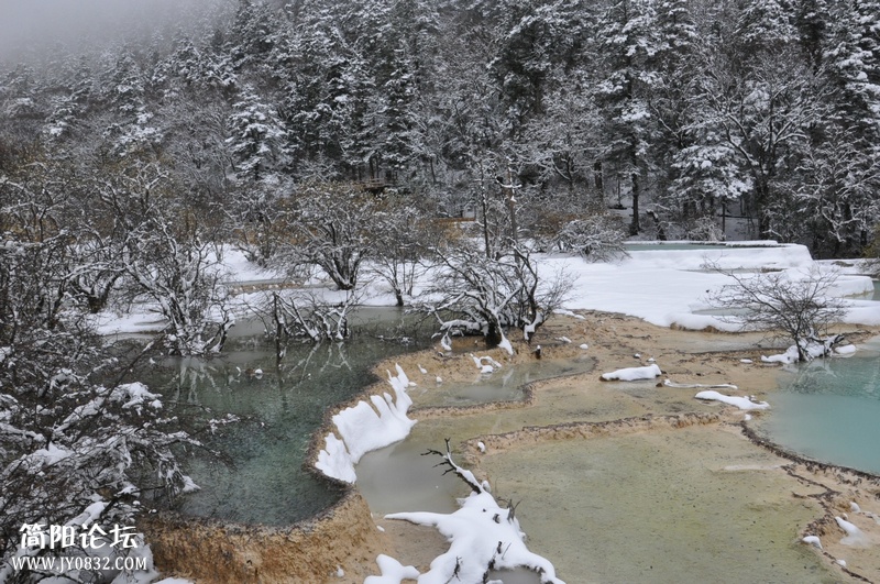 DSC_0815.jpg