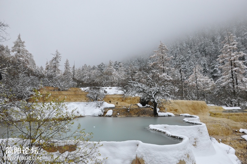 DSC_0826.jpg