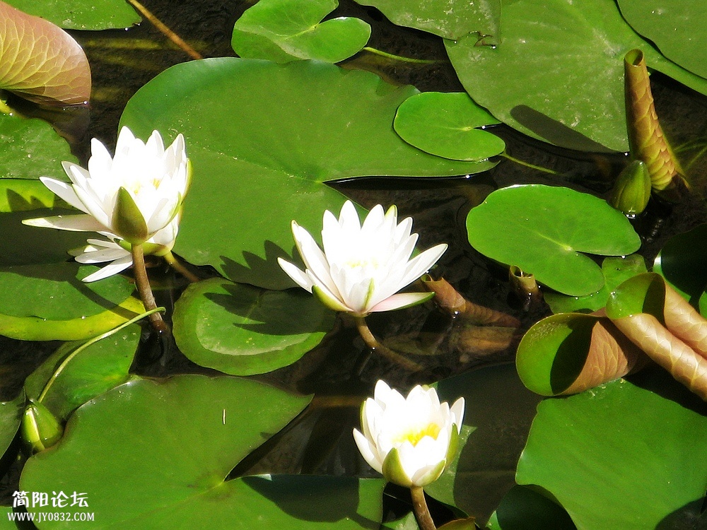 IMG_6765.jpg