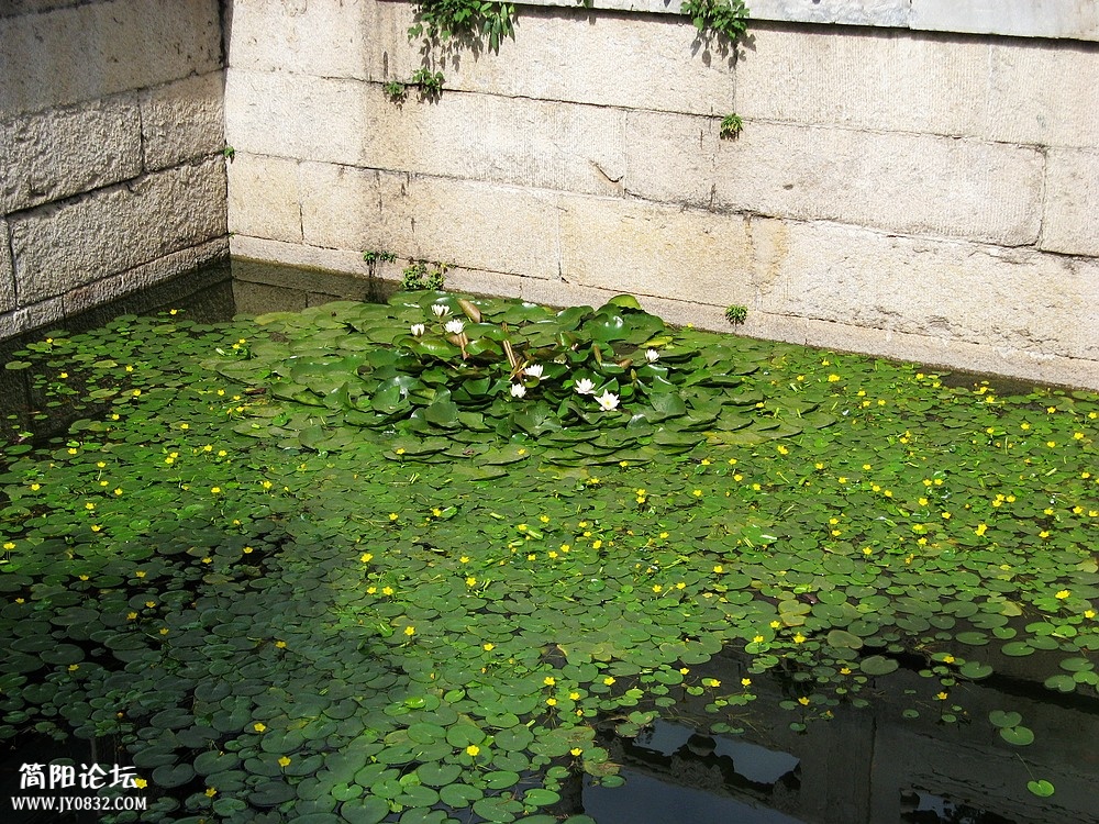 IMG_6767.jpg