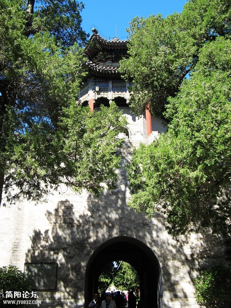 IMG_6805.jpg