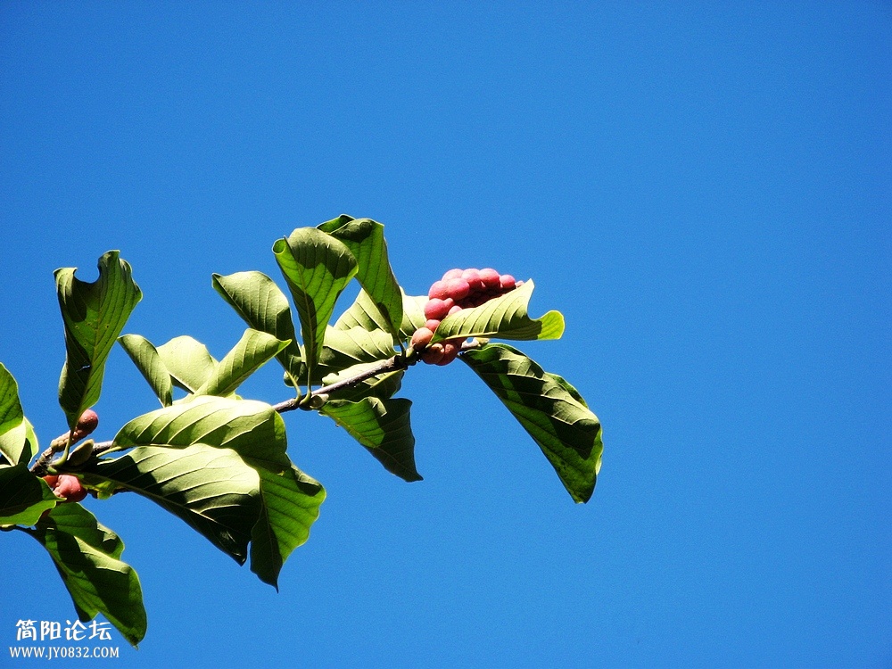 IMG_6854.jpg