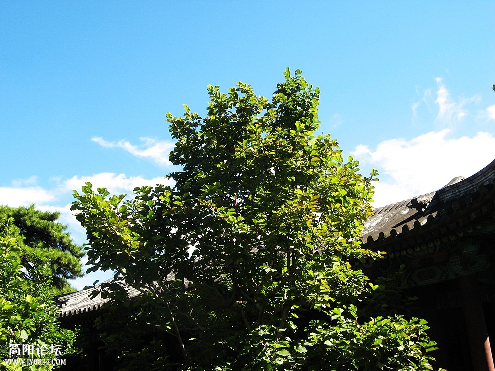 IMG_6860.jpg