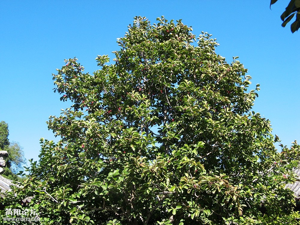 IMG_6862.jpg