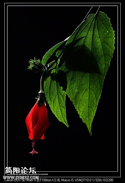 nEO_IMG_IMG_3929a.jpg