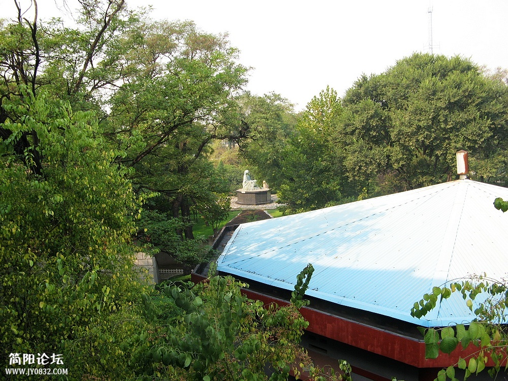 IMG_7535.jpg