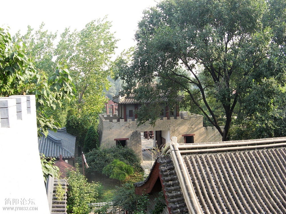 IMG_7536.jpg