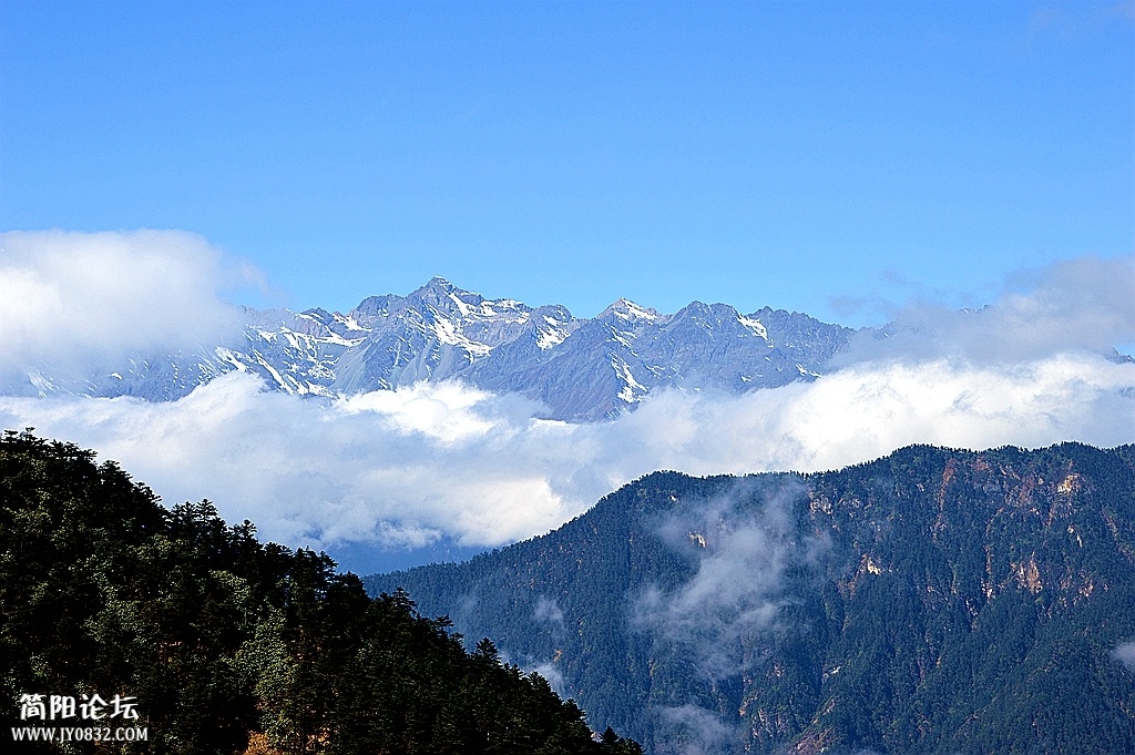 DSC_2771.JPG
