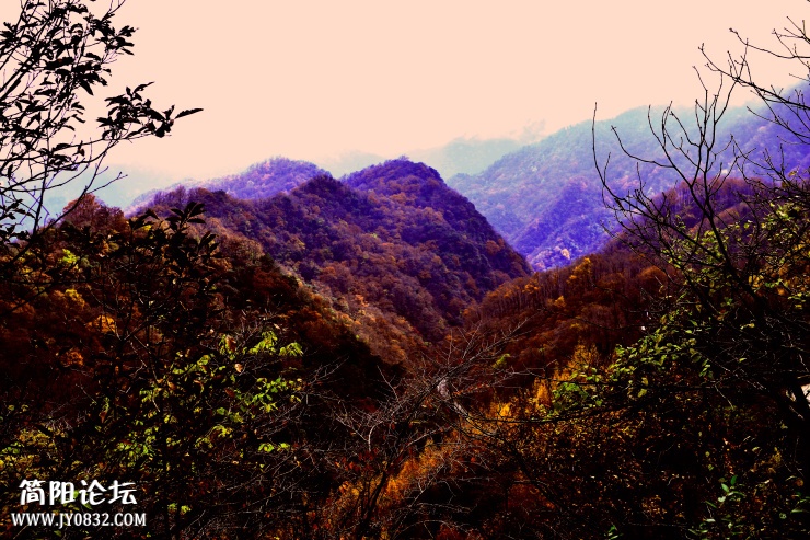 _DSC1226 - 副本.jpg