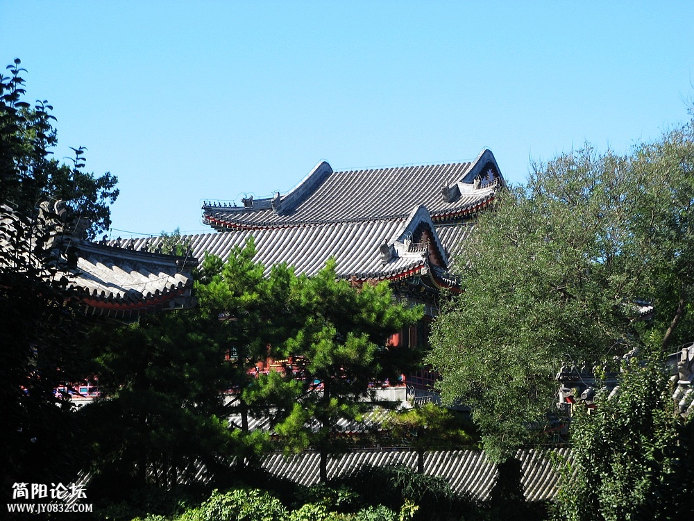 IMG_6879.jpg
