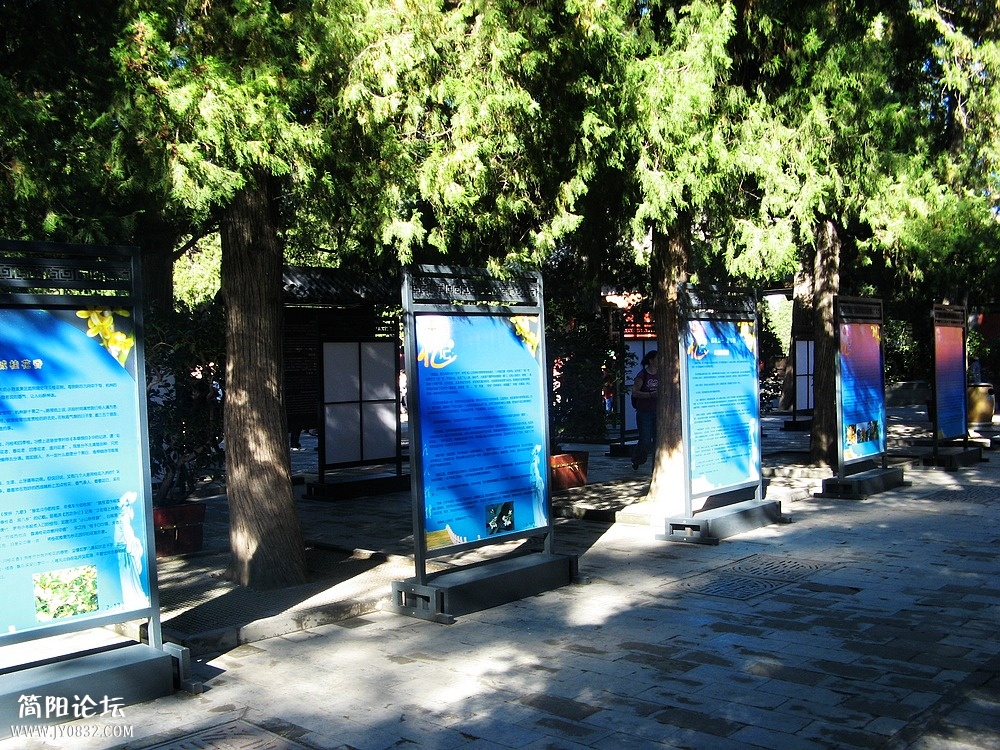 IMG_6901.jpg