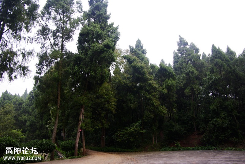 _IGP5963_调整大小.JPG